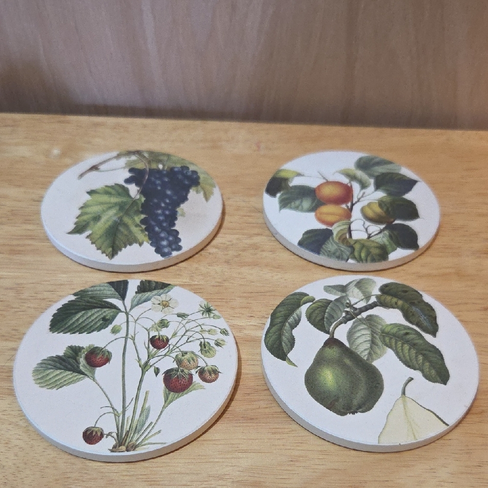 Set of 4 Botanical Fruit Coasters - Green Pear, Strawberry, Grape, Apricot